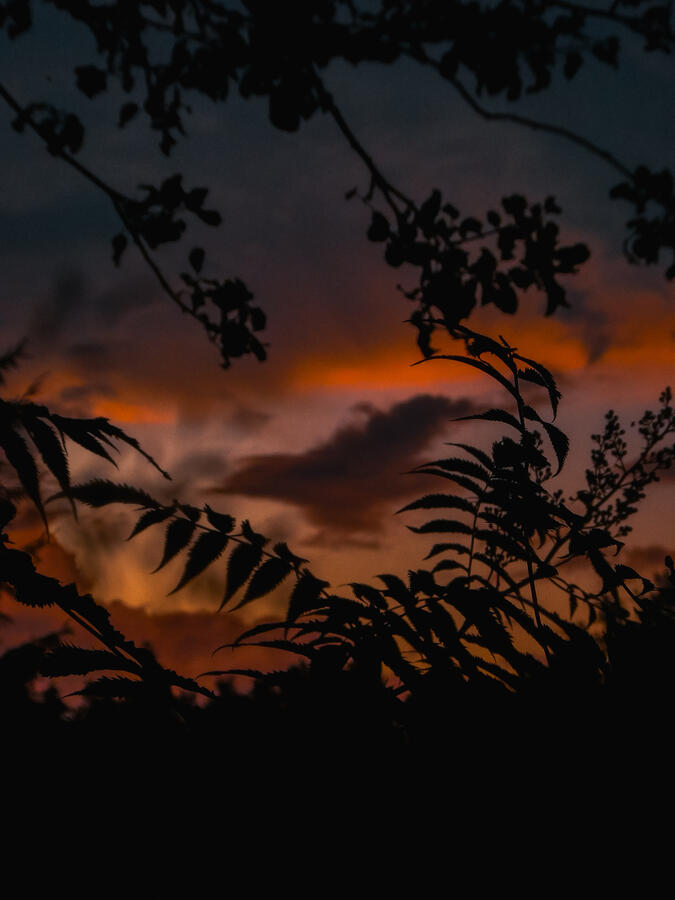 Summer nights Summer nights