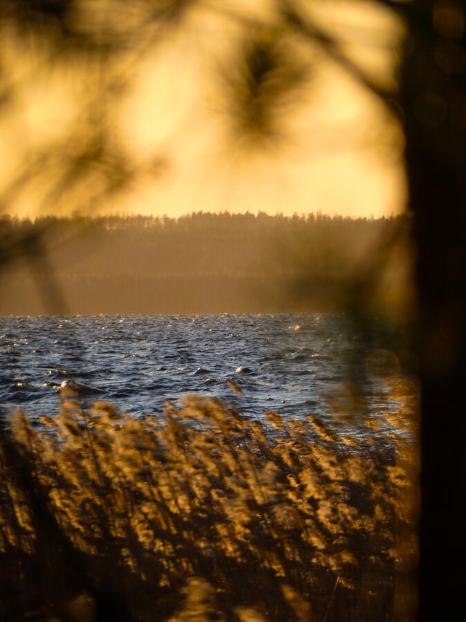 Golden sunset on the lake Golden sunset on the lake