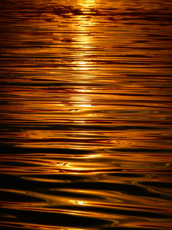 Ripples Ripples