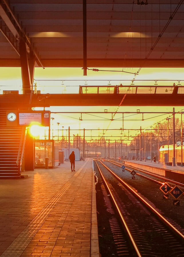 Tracks Tracks